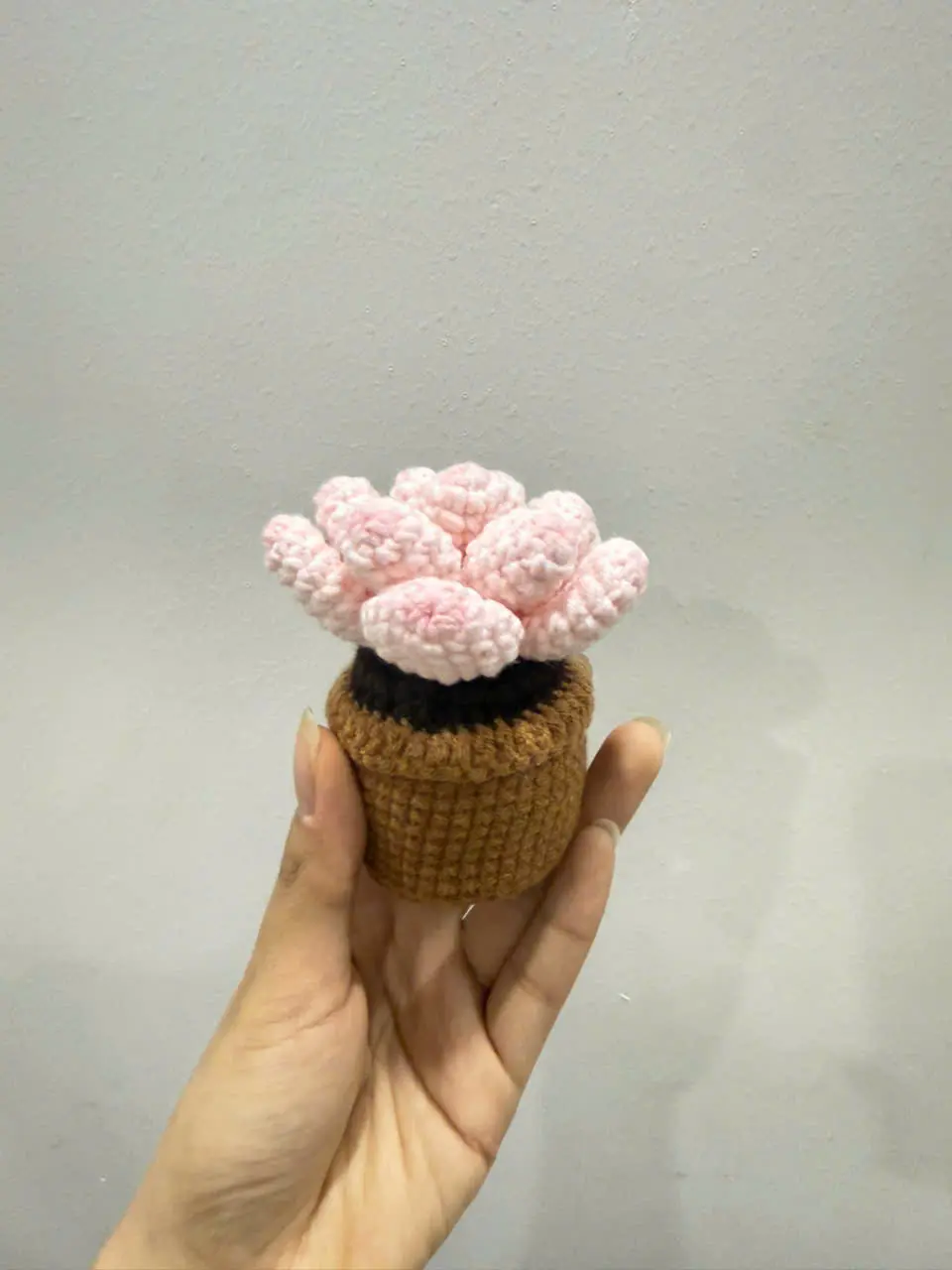 Crochet Pink Succulent Plant Plush, Handmade Amigurumi Flower Pot, Cute Desk Decor Gift for Plant Lover