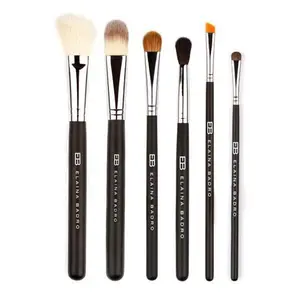 The Essential Brush Kit for Professional Results