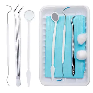 20 Sets Disposable Dental Tools for Teeth Inspection, 5pcs Per Set Sterile Packaging Teeth Cleaning Tools Including Dental Mirror Explorer Probe Plier for Family Oral Care