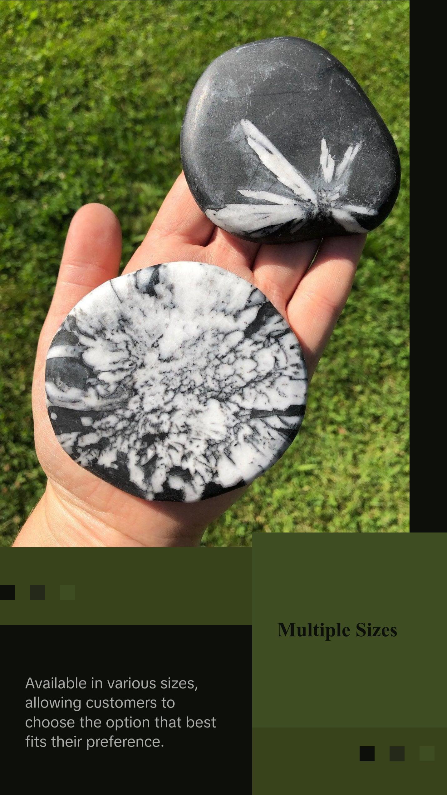 Chrysanthemum Palm Stone - Polished Stone Oval