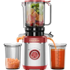 GlowWise Juicer Machines with Build-in Blades for Cutting Whole Fruits & Vegetables, Cold Press Juicer with 4.35" Large Feed Chute Fit, Easy to Clean, Quiet Masticating Juicer with High Juice Yield