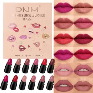 12Pcs Mini Capsule Makeup Lipstick Set, Women Nude Brown Dark Red Matte Matt Lipsticks Cute Lip Stick Purse Set Labiales Matte Larga Duracion 24 (B-12 Pcs Mini Lipstick 01#, B)