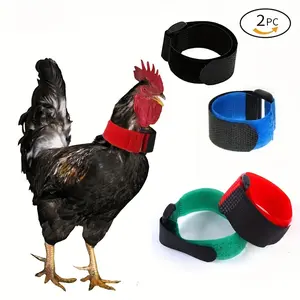 2pcs Pet Chicken Collar Rooster Collar, Anti-Hook Noise Free Neckband, Neck Belt, Prevent Chickens From Screaming Bird Harness