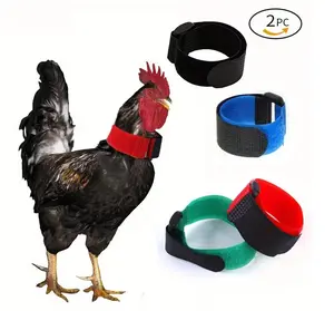 only 2 pack multi color Chicken gallos Collars, Anti-Crowing Nylon Collars for Roosters, Christmas Pet Accessory, Small Animal Harness, Durable Pet Gear