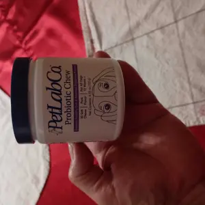 PetLab Co. Probiotics for Dogs Soft Chews for Seasonal Allergies, Gut, and Digestive Health. Vet-Reviewed, Premium-Quality Ingredients - Supplements