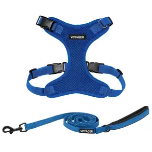 Voyager Step-In Lock Dog & Cat Harness and Leash Set - Adjustable All Weather No Pull Combo with Secure Buckle for Small Medium Large Dogs | Complete Walking Kit by Best Pet Supplies