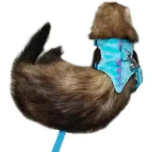 Ferret Harness and Leash Set Small Animals Vest Harness with Safe Bell Dinosaur Shaped Walking Clothes for Baby Rabbit Guinea Pig Teacup Chihuahua Mouse and Other Small pet(Green Dinosaur)
