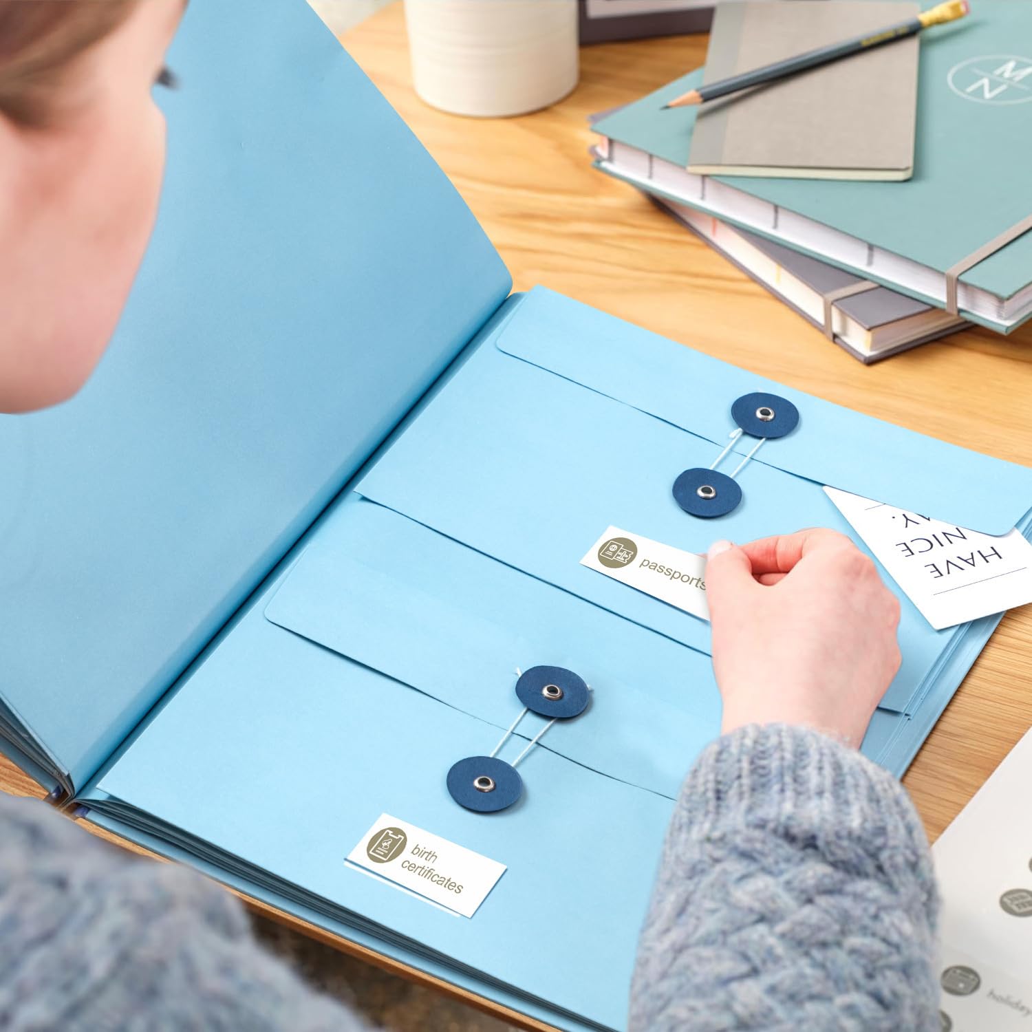 Important Document Organizer- Binder with Labels, Folders for Documents,File Folder Organizer with Pockets for Desk, Accordion Expanding File Folder for Home Office, Portfolio Binder for School and Medical Records(Blue&Pink&Yellow)