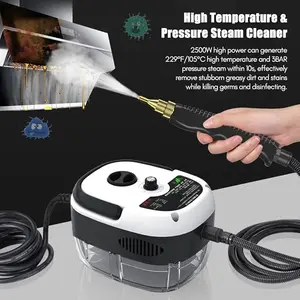 2500W Handheld Steam Cleaner High Temperature Pressurized Steam Cleaning Machine Portable Car Steamer with Brush Heads