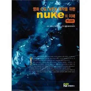 USED-Understanding NUKE (Korean Edition) by Junsu Kim (Paperback)