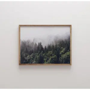 [Sale off up to 65%][Free Ship][No Frame] Dark forest wall art, pine trees print, forest photography, nature landscape poster, printable wall art - Poster