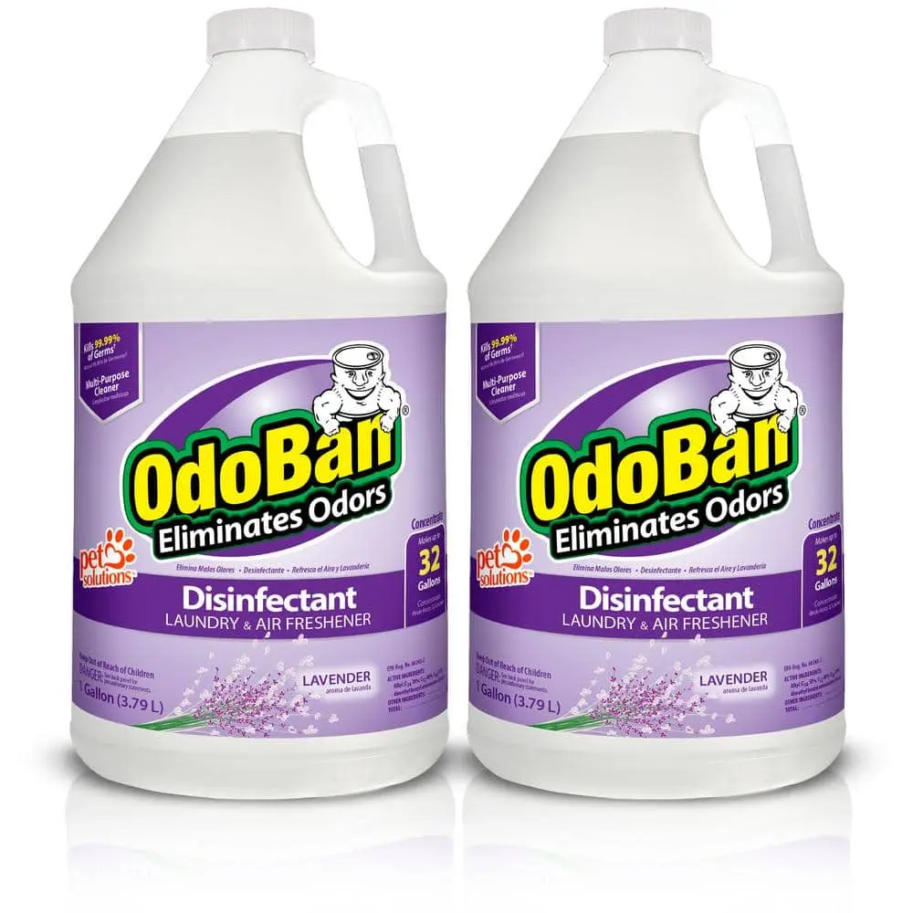 1 Gal. Lavender Disinfectant and Odor Eliminator, Fabric Freshener, Mold Control, Multi-Purpose Concentrate (2-Pack)