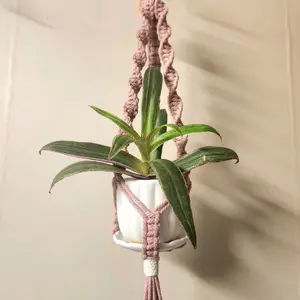 Pink spiral-style macrame plant hanger with silver ring for 2 inch pots