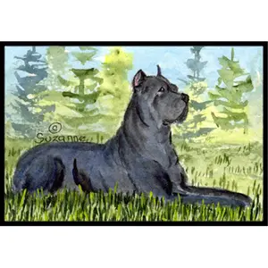 212 MAIN Cane Corso Doormat, 24x36 in, Fade-Resistant, Permanently Dyed, Indoor/Outdoor Textile Doormat