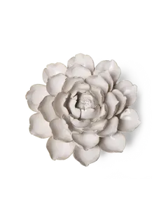 Ivory Empire Cabbage Flower