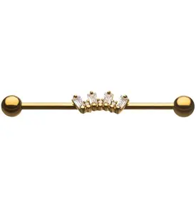 Array CZ Gold PVD Industrial Barbell