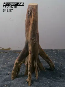 Mangrove Tree Stump 335