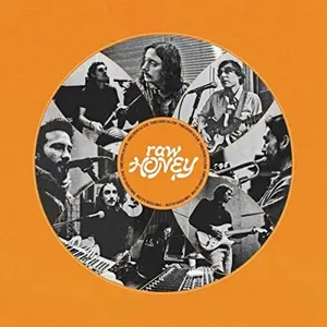 Drugdealer - Raw Honey  [COMPACT DISC - CD] Digipack Packaging