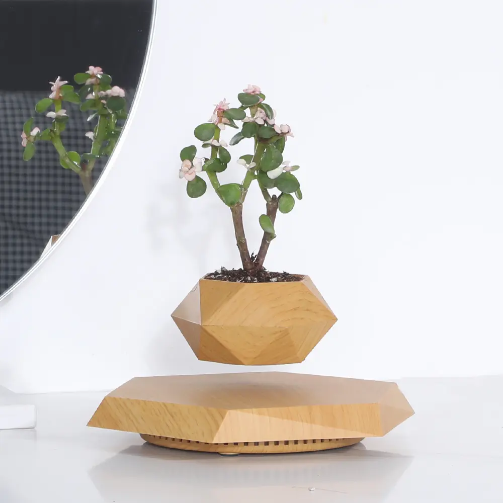 Magnetic Levitating Plant Pot  Floating Planter Black Geometric Levitating Planter, Rotating Suspended Flower Pot for Small Plants & Succulents, Modern Minimalist Home & Office Decor