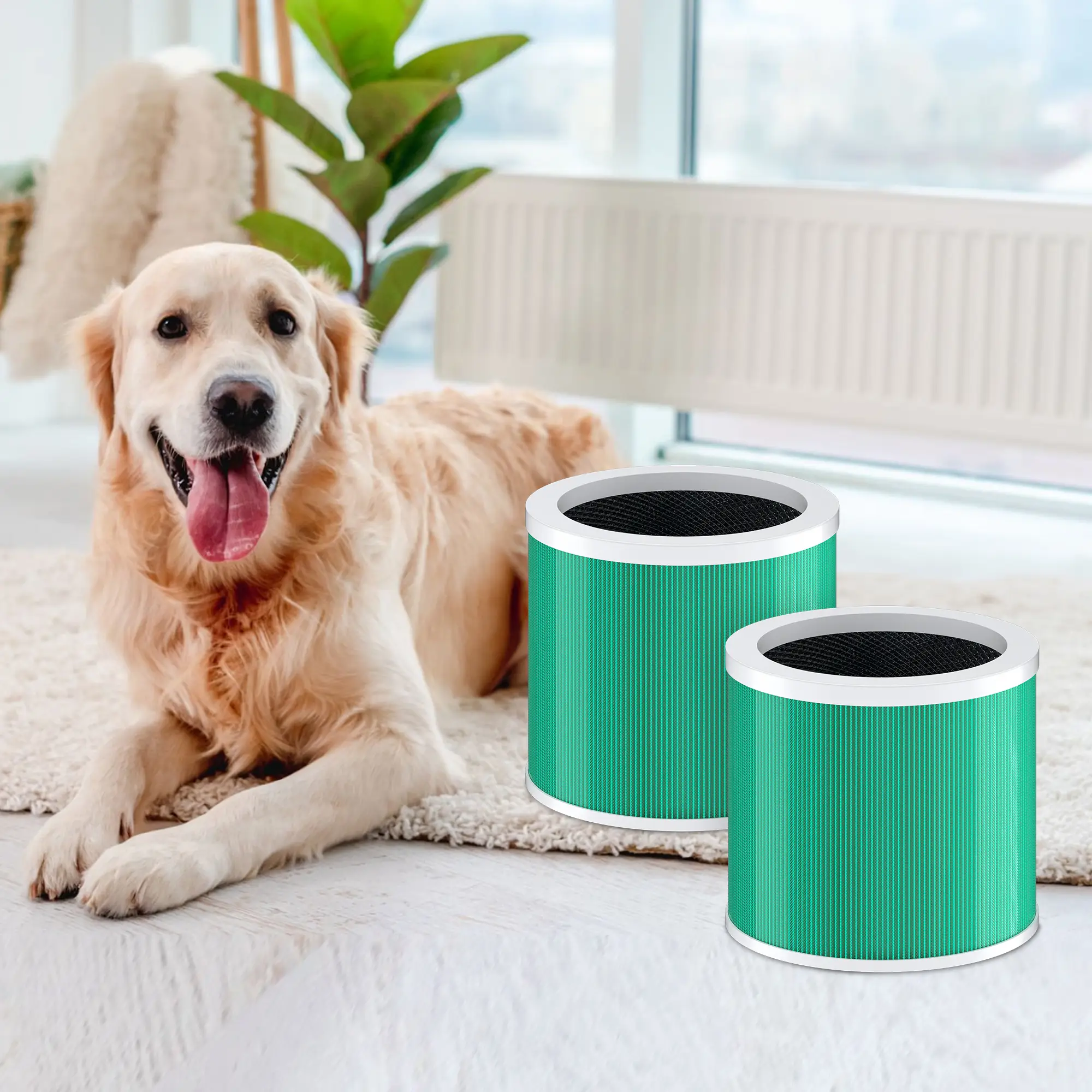 CHIVALZ Genuine HY1800 Air Purifier Replacement Filter, 3-in-1 Filtration, High-Efficiency Activated Carbon, True HEPA Filter (2 Pack) biggest airpuri