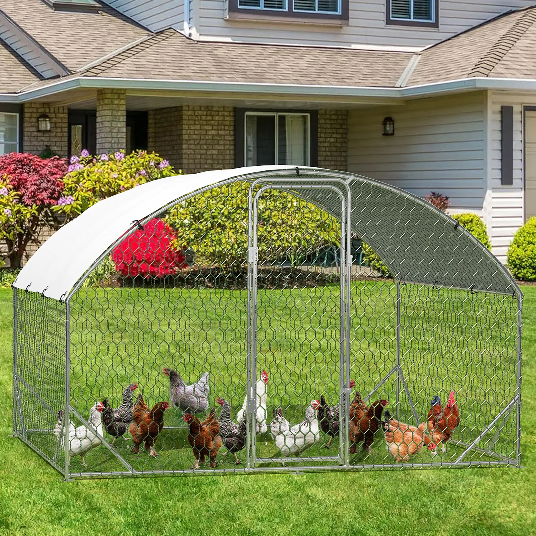 6FT Galvanized Rust-Proof Metal Chicken Coop Enclosure, Outdoor Large Walk-in Poultry Cage with 4-Corner Reinforced Ribs, Sturdy Farm Animal Housing with Accessories for Easy Setup & Maintenance