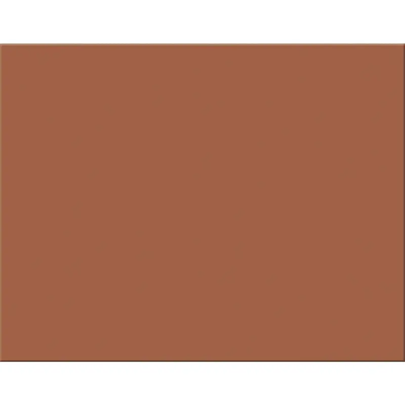 Pacon PAC54691 4-Ply Brown Railroad Paperboard, 22x28 in, 25 Sheets
