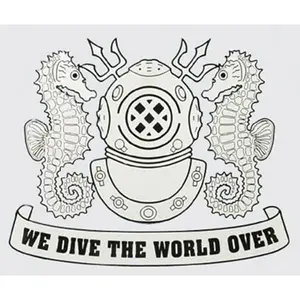 US Navy Diver Helmet, Silver, Decal