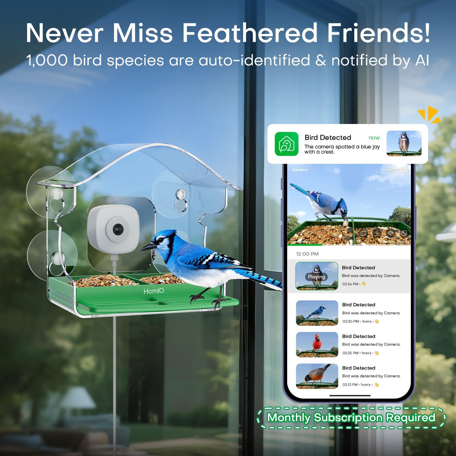 HomiQ Ai Smart Window Bird Feeder with 2K AI Camera – Auto Bird Species Recognition & Instant Alerts, Strong Acrylic, Starlight Night Vision, Anti-Glare, 5GHz WiFi, 24/7 Recording – Great Gift for Kids & Bird Lovers HomiQ Ai Smart Window Bird Feeder with 2K AI Camera – Auto Bird Species Recognition & Instant Alerts, Strong Acrylic, Starlight Night Vision, Anti-Glare, 5GHz WiFi, 24/7 Recording – Great Gift for Kids & Bird Lovers