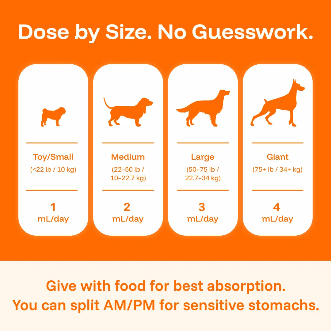 8-in-1 Liquid Canine Nutritional Supplement for Dogs - Joint Care, Enhanced  Mobility, Increased Energy, Immune & Skin Support, Easy-Mixing Daily  Wellness Drops - TikTok Shop
