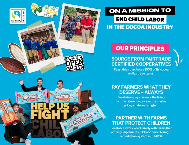 Feastables by MrBeast Sampler Pack King Size Chocolate Bars - for Adults & Kids, Chocolate, Candy, Cocoa Sweet & Crunchy Snack, Fairtrade Certified, Kosher, Perfect for Gifting or Snacking