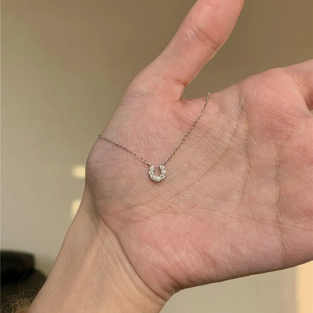 Lucky Charm Horseshoe Necklace