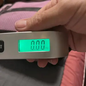 Portable Electronic Luggage Scale, 1 Count Handheld Digital Display Scale, Handheld Digital Display Scale for Home, Travel, Office, School