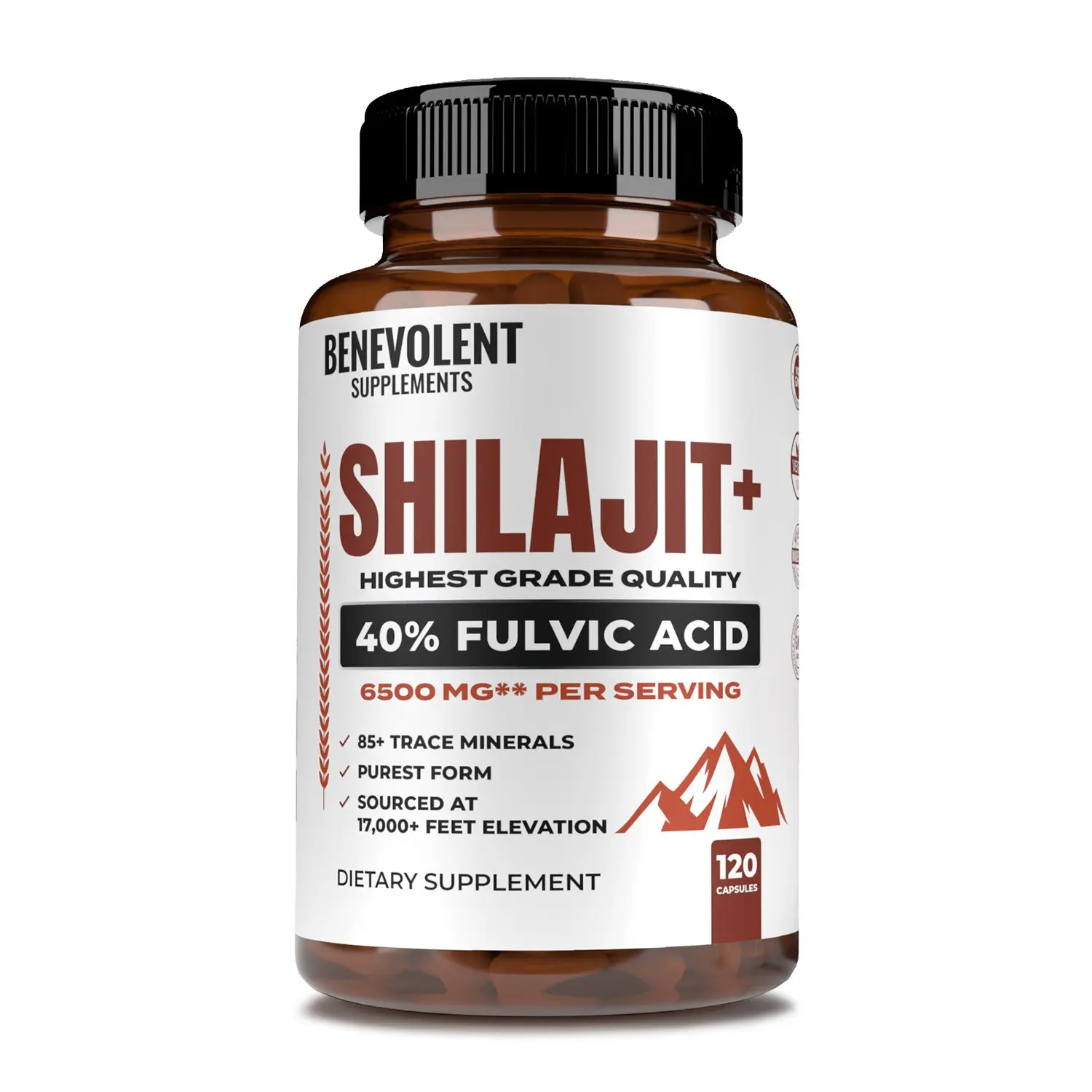 Shilajit+ with 40% Fulvic Acid (120 Veggie Caps) Shilajit+ with 40% Fulvic Acid (120 Veggie Caps)