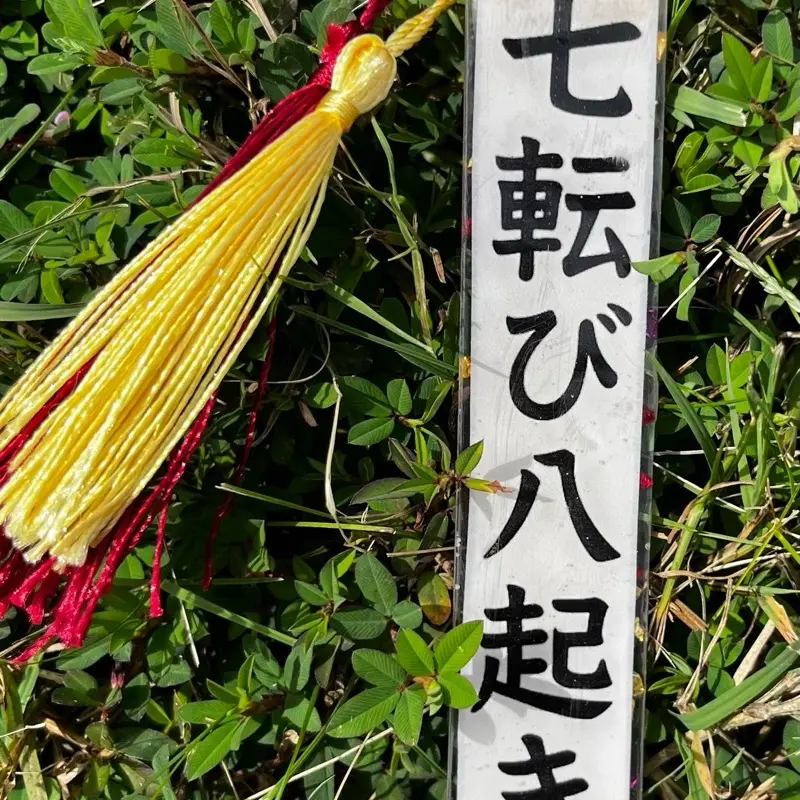 Bookmark with Yellow and Red Tassel and Japanese Characters Description
