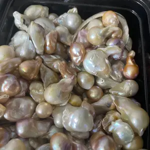 Freshwater pearl’s