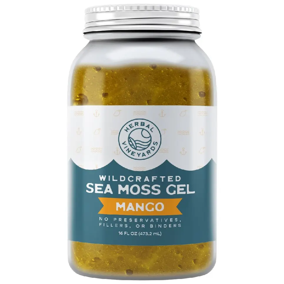 Herbal Vineyards Wildcrafted Mango Sea Moss Gel 16 Oz Jar - Made with Dried Seaweed & Fresh Sea Vegetables, Seamoss - Made in USA Organic Natural Supplement Nutritional Supplement