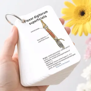 Medical Anatomy Flash Cards with Buckles, About 100 Types of Human Bone Learning Flashcards, Labeled Muscles for Medical Students & Doctors, Word Cards, Vocabulary flashcards