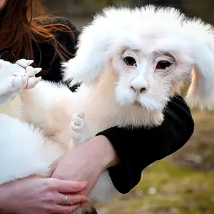 White Falkor Plush Doll, Luck Dragon Handmade Stuffed Toy, Soft Stuffed Animal, Perfect Childhood Memory Gift, Bedroom Home Decor