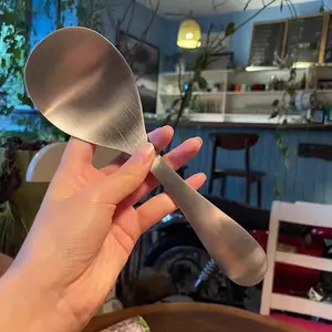 Matte Stainless Steel Rice Spoon, Fashionable Minimalist Design, Non-Stick Material, One-Piece Structure, Ideal for Home Cooks and Rice Lovers