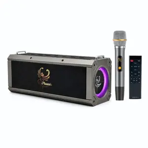 IP-10-PRO 8 Hrs/ 16000 mAh Bluetooth Wireless RGB Light Portable Karaoke Speaker with UHF Microphone/Remote/Strap