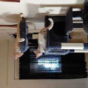 Cat Tree Tower for Indoor Cats, 54in Tall Multi-Level Pet Furniture, Stable Kitty Play House with Sisal Scratching Post, Large Condo, Climbing Ladder, Plush Toy for Kitten cat treehouse