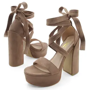 Elegant Strappy Chunky Heel Sandals for Women  High Heel Lace-Up Fashion Casual Nude Block Heel Shoes