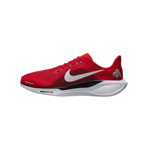 Air Zoom Pegasus 41 "Ohio State" IB3254-600