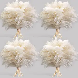 40PCS White Pampas Grass for Home Decor - Elegant Boho Decor - Premium Quality Pampas Grass Stems - Perfect for House, Nursery, Western, Wedding, Table, and Bohemian Decor