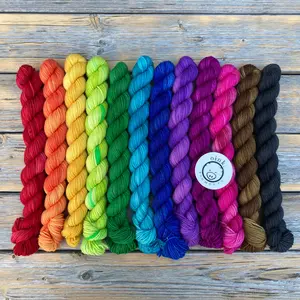 Inclusive Rainbow Pigtail Set
