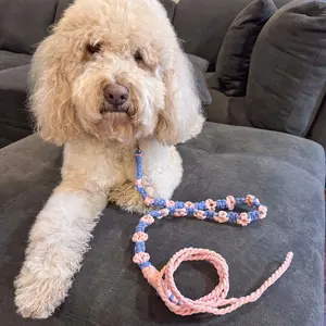 Baba&Nana Handmade Braided Rope Dog Leash Walking Accessories, Macrame Hands Free Dog Leashes for Small, Medium, and Large Dogs, 6ft cute Cotton Slip Lead Dog Leash