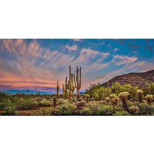 AWERT 36x18 inches Terrarium Background Blue Sky Cloud Huge Cactus Oasis Gobi Reptile Habitat Background Vinyl