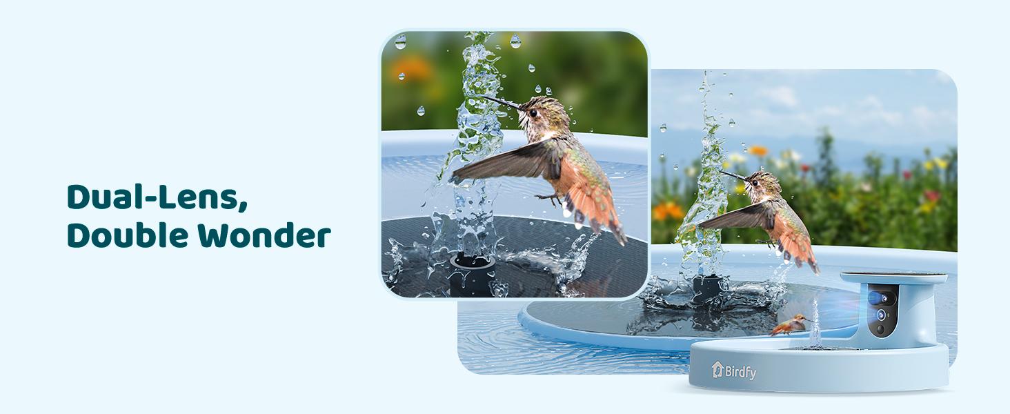 Birdfy Smart Bird Bath with Camera Solar Powered & Fountain, Dual-Lens Camera for Wildbird Watching, Auto Capture Bird Videos & Motion Detection, SummerVibes, Petlovers Birdfy Smart Bird Bath with Camera Solar Powered & Fountain, Dual-Lens Camera for Wildbird Watching, Auto Capture Bird Videos & Motion Detection, SummerVibes, Petlovers