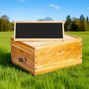 MayBee Hives Unassembled 8/10 Frame Deep Bee Box Wax Coated Bee Hives beekeeping for beginners Includes Pine Wood Frame, BeesWaxed Foundation Sheets langstroth 10 frame beekeeping beginners Beehive Exterior Beekeeping Supplies tiktok store shop bee hives