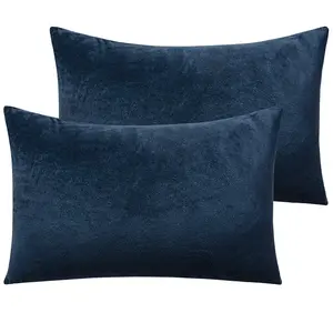 NTBAY 2 Pack Velvet Pillowcases – Soft Cozy Zippered Covers